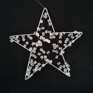 Étoile de Noël