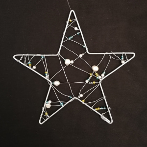 Étoile de Noël