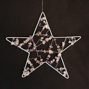Étoile de Noël