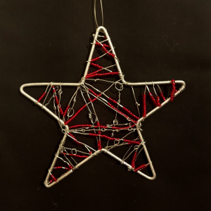 Étoile de Noël