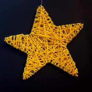 Étoile de Noël