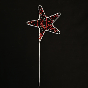 Étoile de Noël