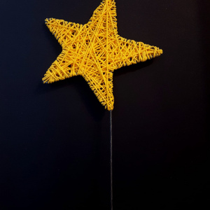 Étoile de Noël