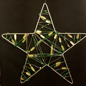 Étoile de Noël